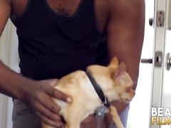 Big dick, onanism, gay rimming