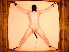 Edged to Insanity - 20 min restrained chastity vibrator prostate edging