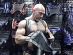 Behind the scene, medvěd, behind the