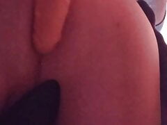 Anal toys