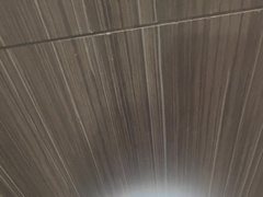 Public rest room, I attempted to entice the studs with my enormous rod