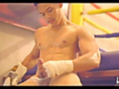 boxing model