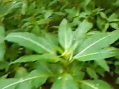 In nature