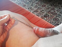 Sounding my small slave's cock