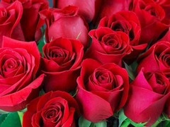 Bangladeshi, big ass, hd videos