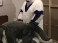Fursuit sex 2