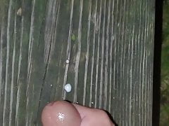 Night time wank
