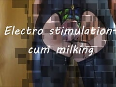 Electro stimulation- cum milking