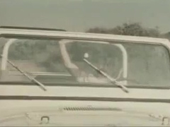 trouser snake en voiture