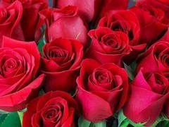 Mature Bangladeshi gay porn featuring Desi Mazaa with a big ass