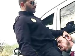 Show respect for authority