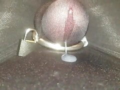 Sissy leaking cum through chastity tights