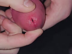 I put my cum plugs in my cock