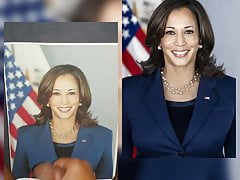 Kamala Harris 14 (Political Tribute)