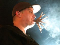 PG Smoke x8
