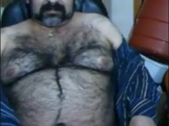 Big hairy bear and hairy body 6