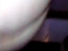 Howdy KC Dane Viking a Ginger Teddy