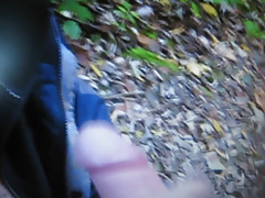 Wichsen im Wald 2