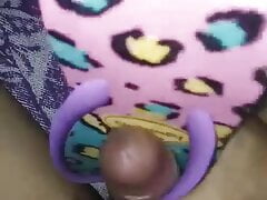 Cum In Havaians Animal Print