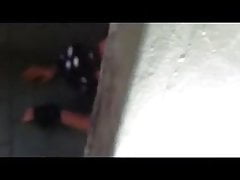 Nice gay blowjob