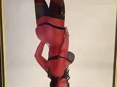 Lisa Ann Cum Tribute