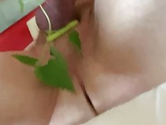 Bearstgt nettle play