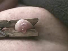 Nipple BDSM