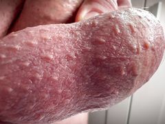 Close-up penis and egg massaging