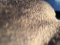 Hunks juices cakes get crammed up by spoken outdoor