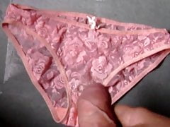 Panty