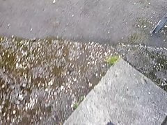 naked public walk by shops