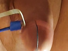 Electrocum 2