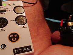 Electric Penis Cage