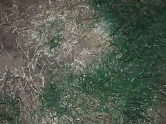 Pissing and cumming