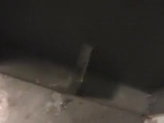 fresh visitor. Princeton grad-student. Gloryhole movie scene.