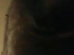 Fat Bear Sucks Me Off