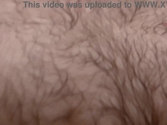 Investigate a Wooly Grizzly from Head to Toe