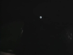 Donnie And Hank Dril