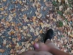 Went for an early morning walk.