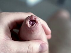 Soft to Hard playing with uncut cock
