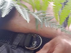 In the wood