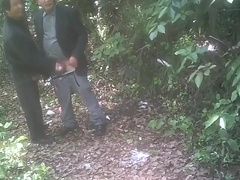 China Cruising in the Park