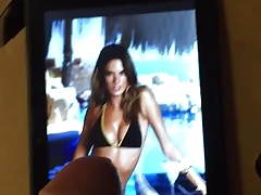Alessandra Ambrosio tribute