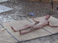 Fetish, hd videos, sadism & masochism