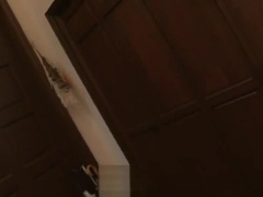 japan GV KOC419-2 hansome boy