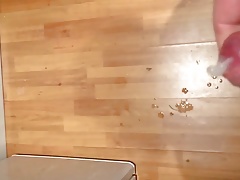 Kitchen cumshot