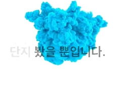 Korea Seegasm 4
