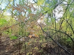 Public cocksluts have fun!!!