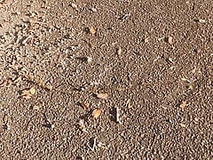 Walking near the highway