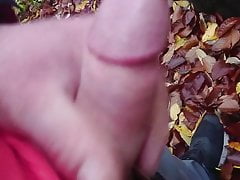Im Wald gewichst